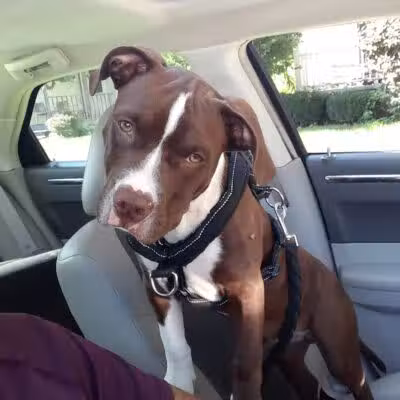 Ft Recovery Veterinary Center - Fort Recovery, OH