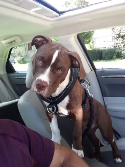 Ft Recovery Veterinary Center - Fort Recovery, OH