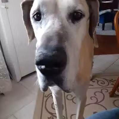 Ft Recovery Veterinary Center - Fort Recovery, OH