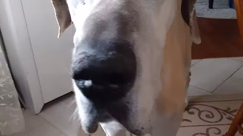 Ft Recovery Veterinary Center - Fort Recovery, OH