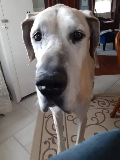 Ft Recovery Veterinary Center - Fort Recovery, OH