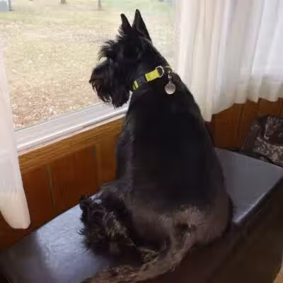 Ft Recovery Veterinary Center - Fort Recovery, OH