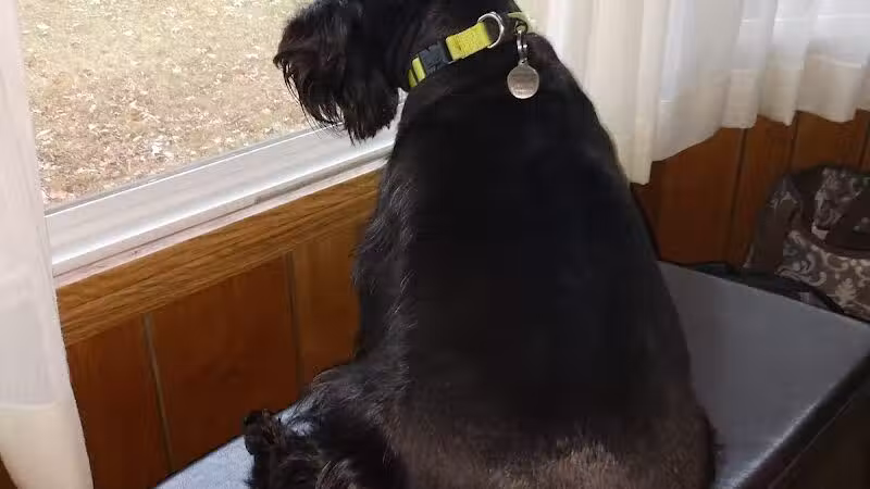 Ft Recovery Veterinary Center - Fort Recovery, OH