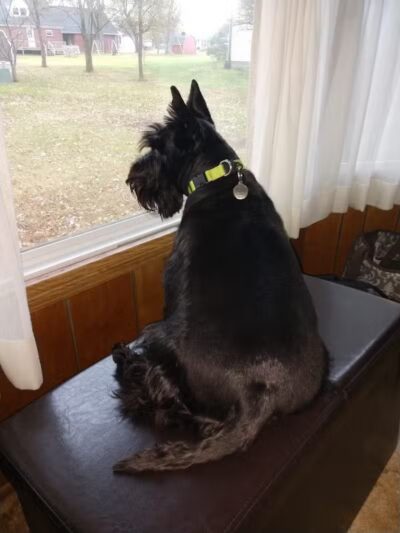 Ft Recovery Veterinary Center - Fort Recovery, OH