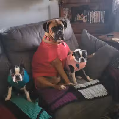 Ft Recovery Veterinary Center - Fort Recovery, OH