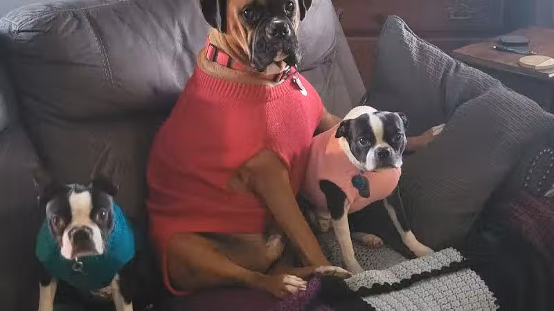 Ft Recovery Veterinary Center - Fort Recovery, OH