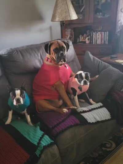 Ft Recovery Veterinary Center - Fort Recovery, OH