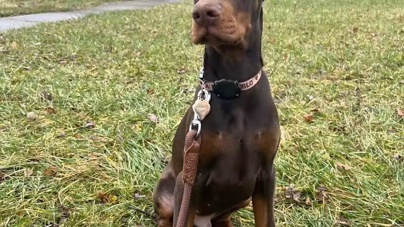 Ft Recovery Veterinary Center - Fort Recovery, OH