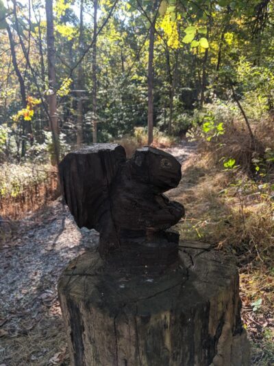 Fort Thomas Dog Park - Fort Thomas, KY