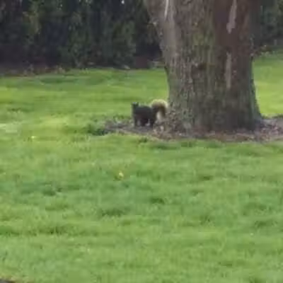 Foundation Park - Fostoria, OH