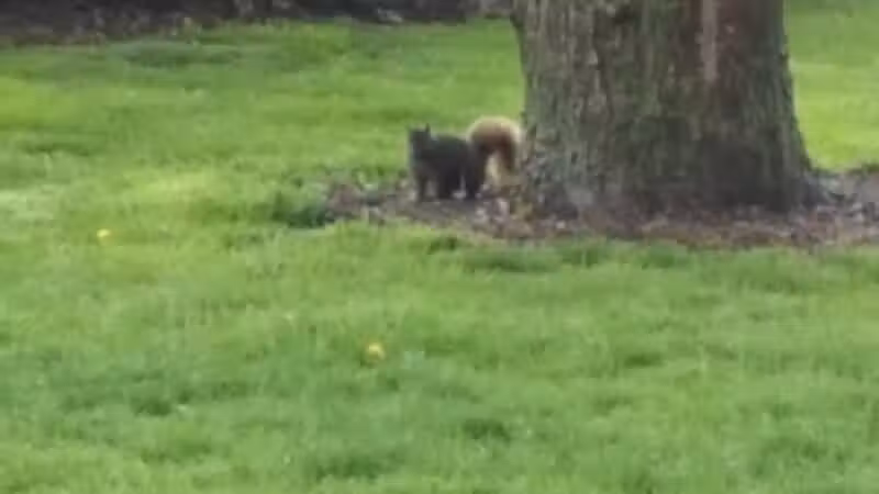 Foundation Park - Fostoria, OH