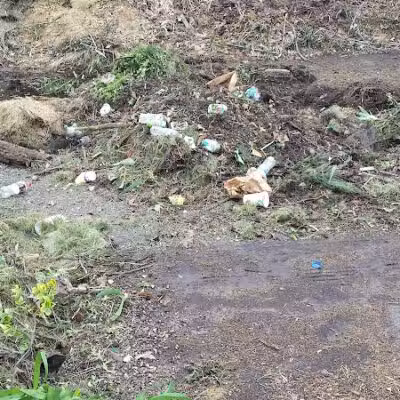 Foundation Park - Fostoria, OH