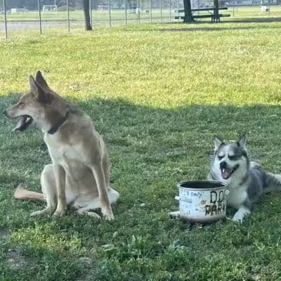Foundation Park - Fostoria, OH