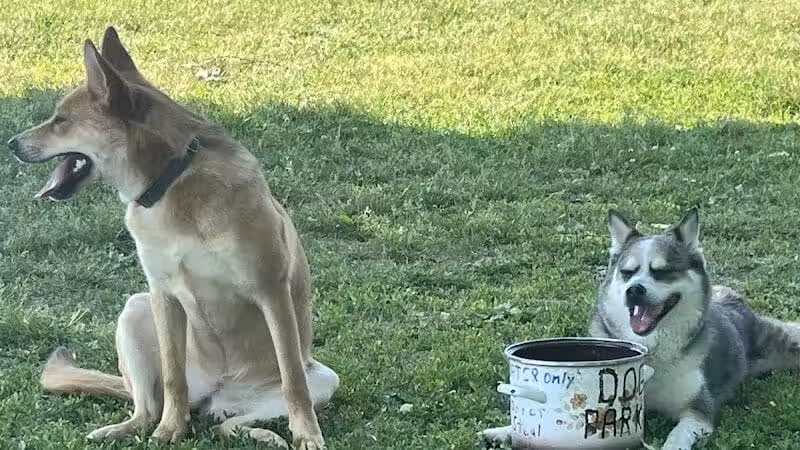 Foundation Park - Fostoria, OH