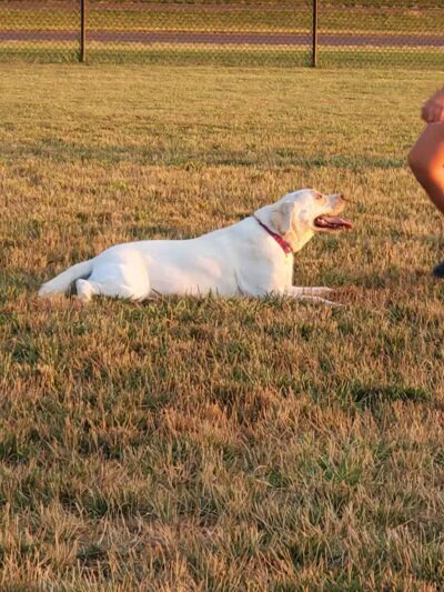 Clearcreek Park - Franklin, OH