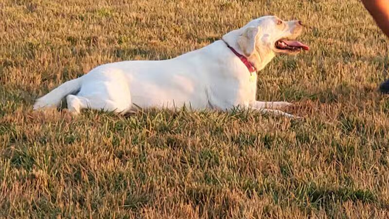 Clearcreek Park - Franklin, OH