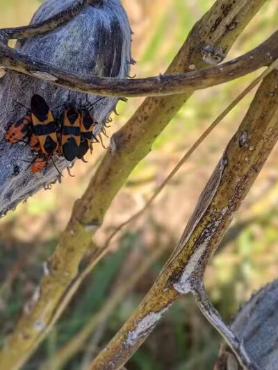 Clearcreek Park - Franklin, OH