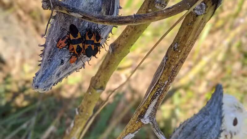 Clearcreek Park - Franklin, OH