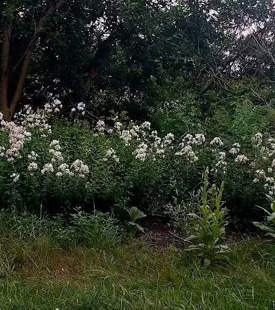 Holmes County Trail - Fredericksburg, OH