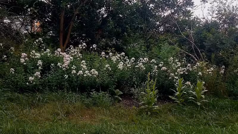 Holmes County Trail - Fredericksburg, OH