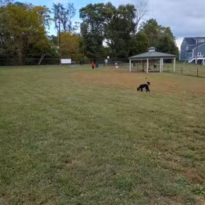 Fredericksburg Dog Park - Fredericksburg, VA