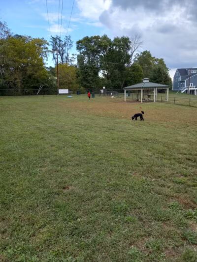 Fredericksburg Dog Park - Fredericksburg, VA