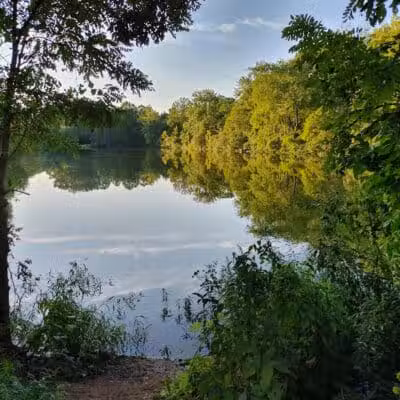 Fredericksburg Dog Park - Fredericksburg, VA