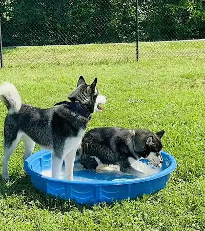 Fredericksburg Dog Park - Fredericksburg, VA