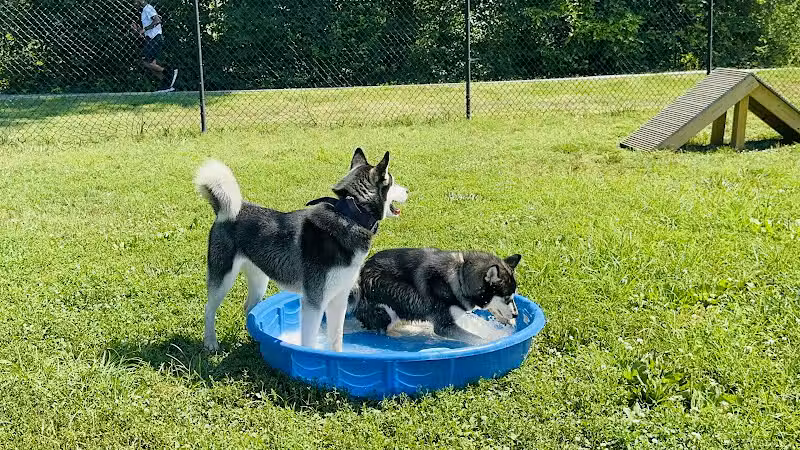 Fredericksburg Dog Park - Fredericksburg, VA