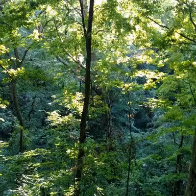 Fredericktown Community Park - Fredericktown, OH