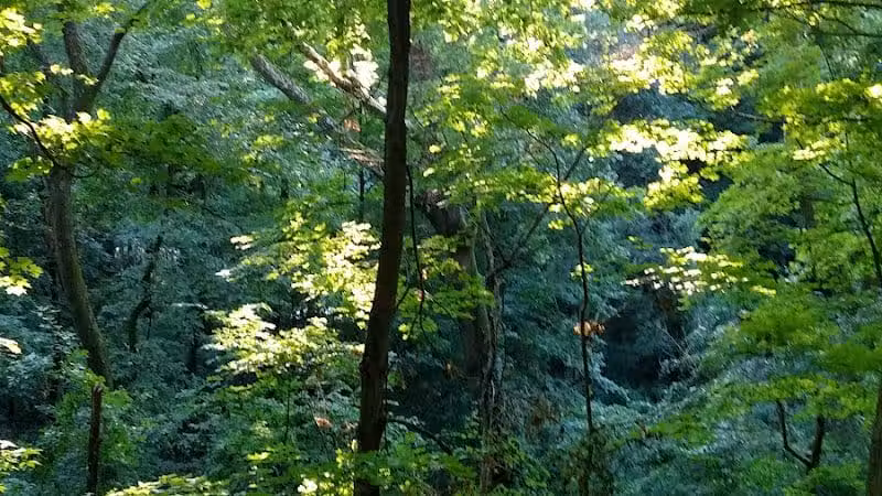 Fredericktown Community Park - Fredericktown, OH