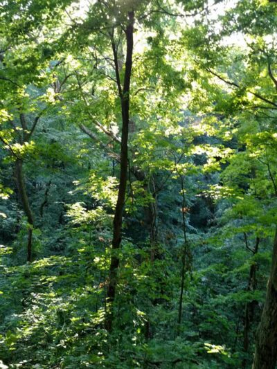 Fredericktown Community Park - Fredericktown, OH