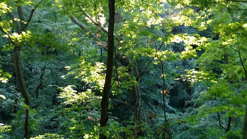 Fredericktown Community Park - Fredericktown, OH