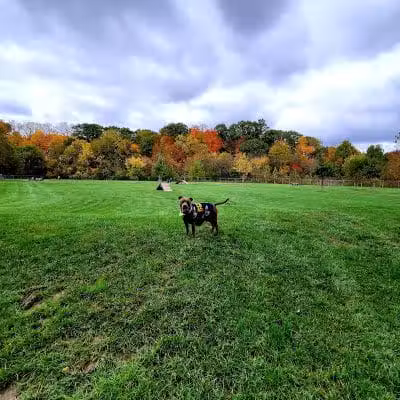 Pizzurro Park - Gahanna, OH