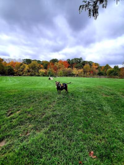 Pizzurro Park - Gahanna, OH