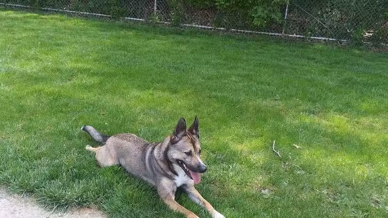 Pizzurro Park - Gahanna, OH