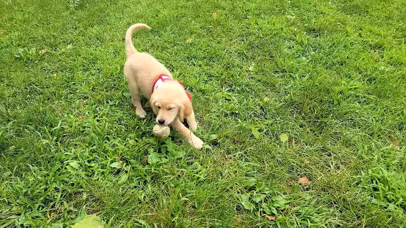 Pizzurro Park - Gahanna, OH