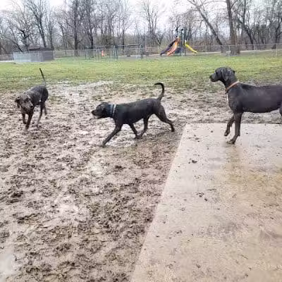 Pizzurro Park - Gahanna, OH