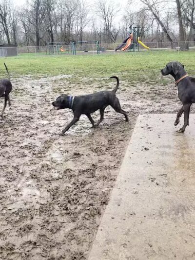 Pizzurro Park - Gahanna, OH