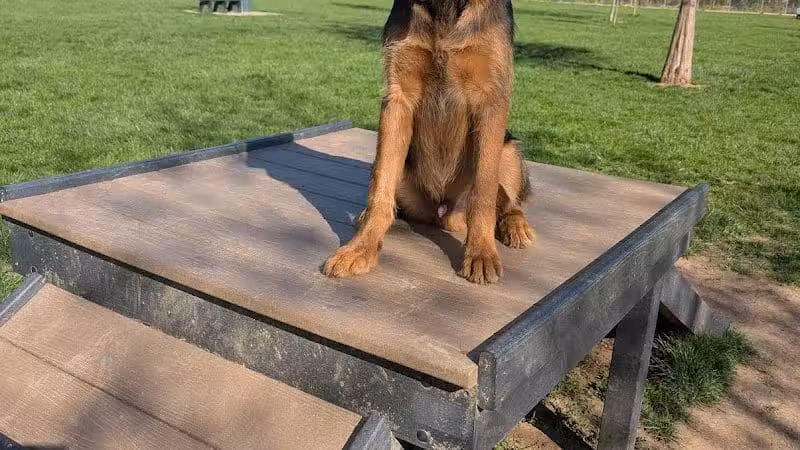 Pizzurro Park - Gahanna, OH