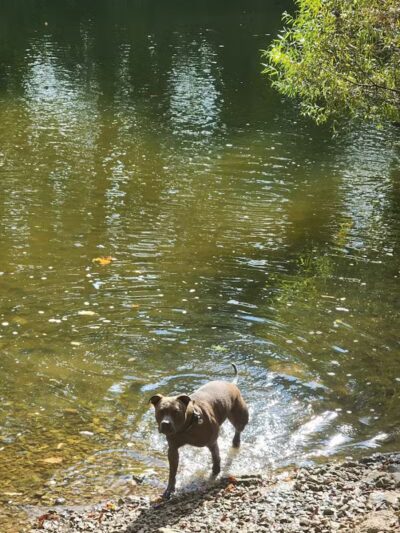 Pizzurro Park - Gahanna, OH