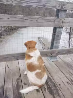 Galena Brick Trail/Ohio to Erie Trail - Galena, OH