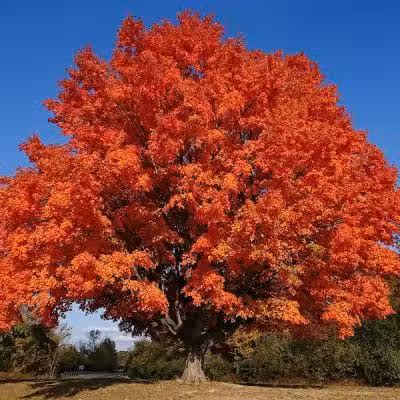 Alum Creek Below Dam Recreation Area - Galena, OH