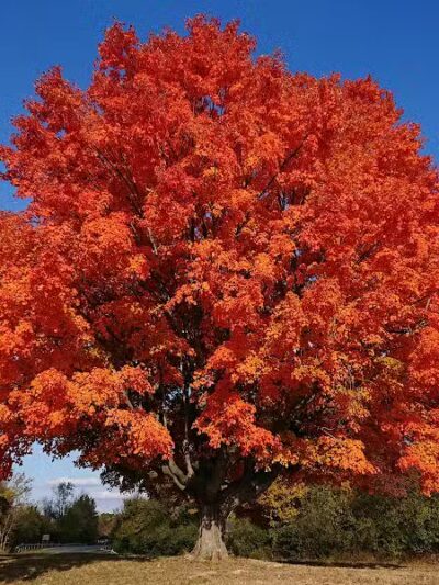 Alum Creek Below Dam Recreation Area - Galena, OH