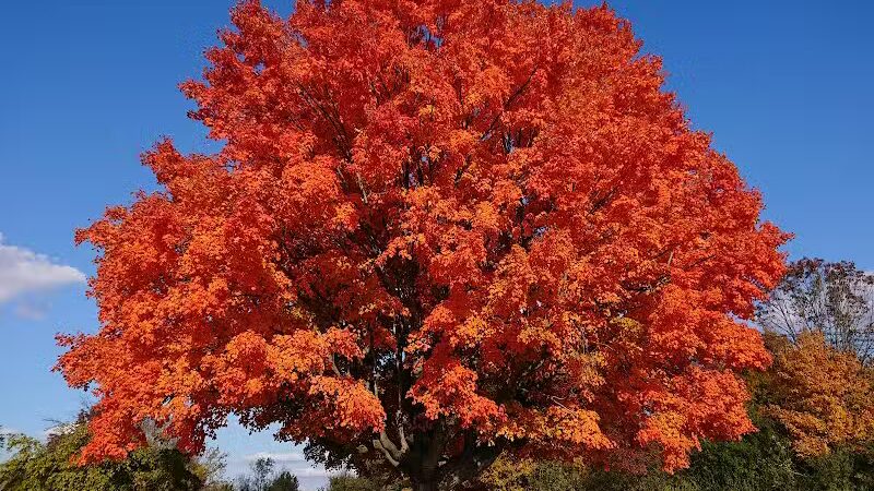 Alum Creek Below Dam Recreation Area - Galena, OH