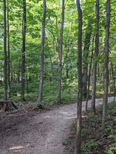 Alum Creek Dam Trail - Galena, OH