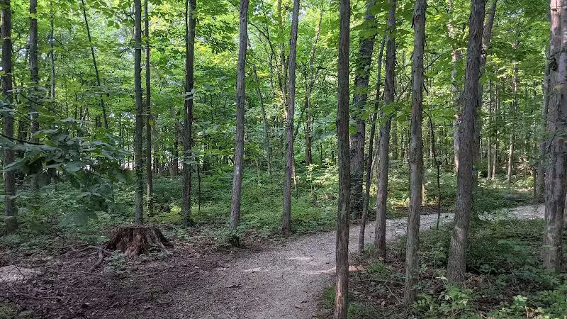 Alum Creek Dam Trail - Galena, OH