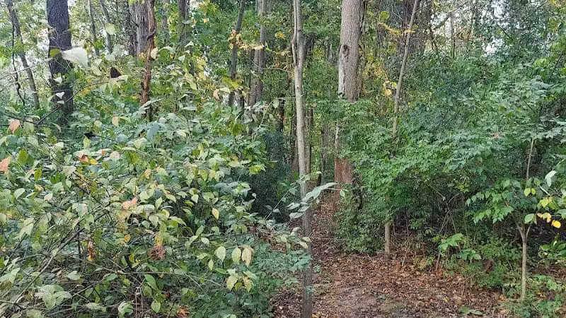 Alum Creek Dam Trail - Galena, OH