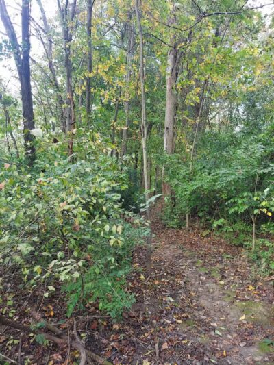 Alum Creek Dam Trail - Galena, OH