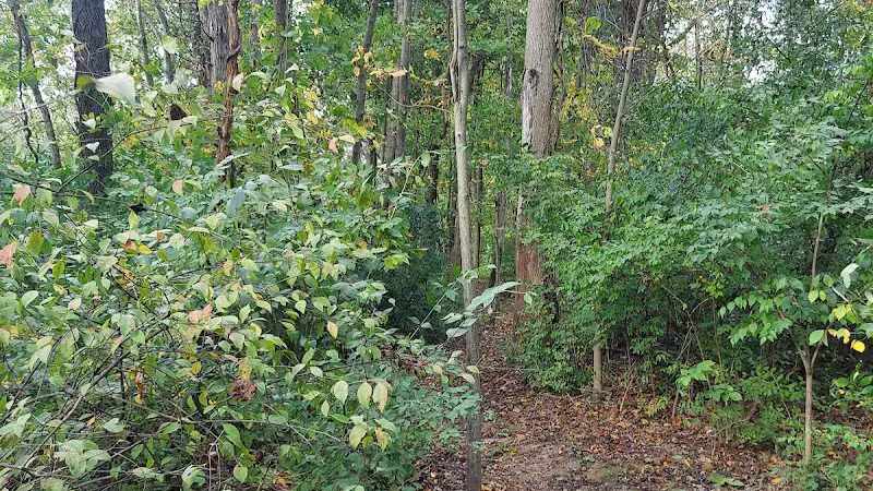 Alum Creek Dam Trail - Galena, OH